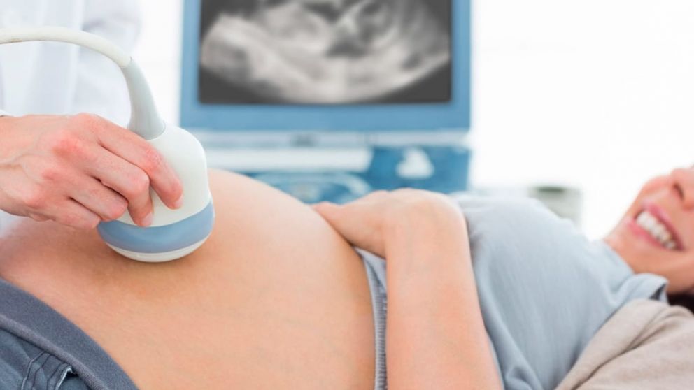 La mejora genetica de las proximas generaciones es una nueva realidad