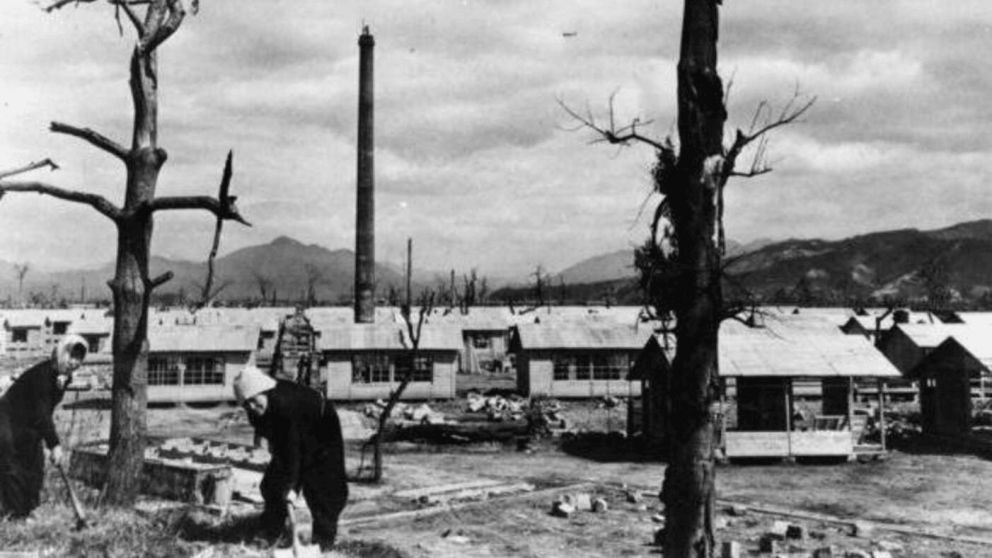 El árbol que sobrevivió a la bomba de Hiroshima y que vive en Argentina