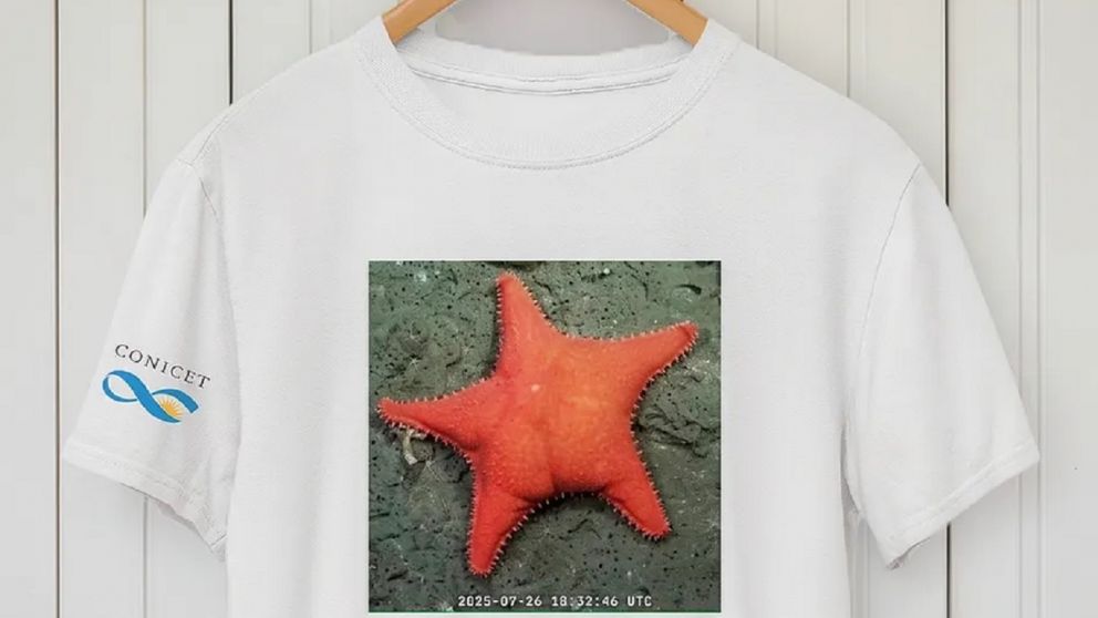 Las remeras de la estrella de mar descubierta por la expedición del Conicet es la que más seguidores tiene