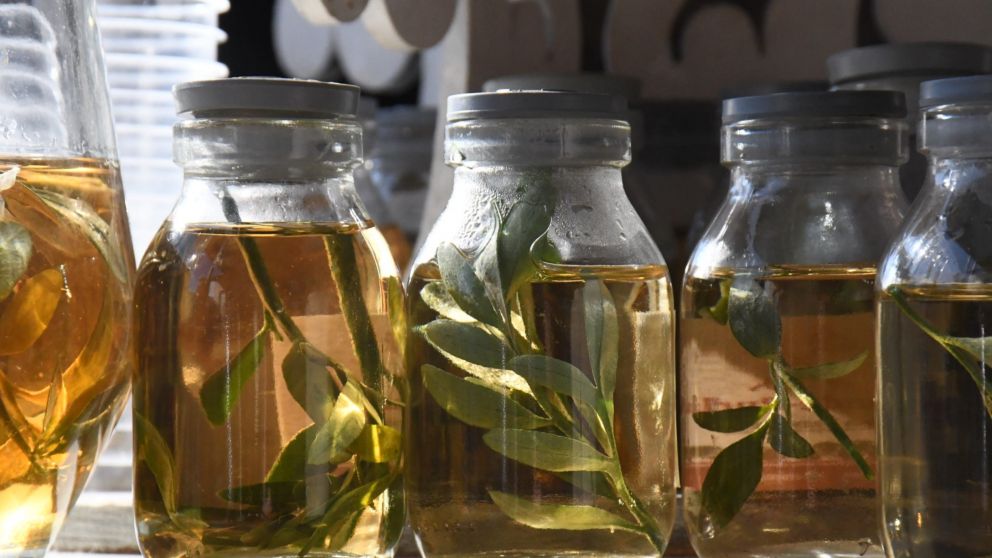 Quienes participan de esta tradición ancestral, suelen beber caña con ruda como método de purificación, protección contra enfermedades y malas energías.