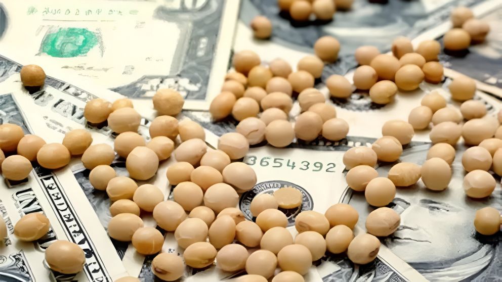 Baja de retenciones a granos y carne en agosto 2025