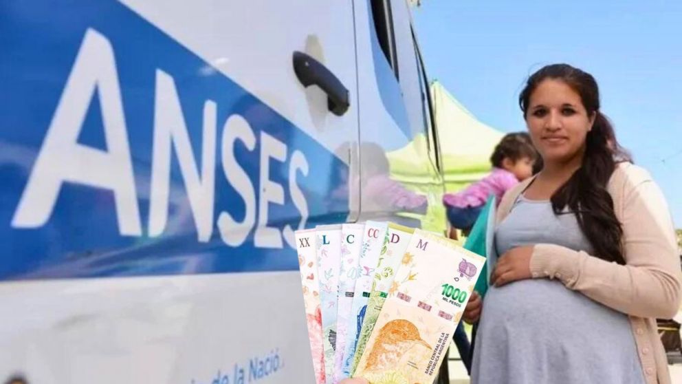 Mir� c�mo cobrar los $120.000 retenidos por ANSES