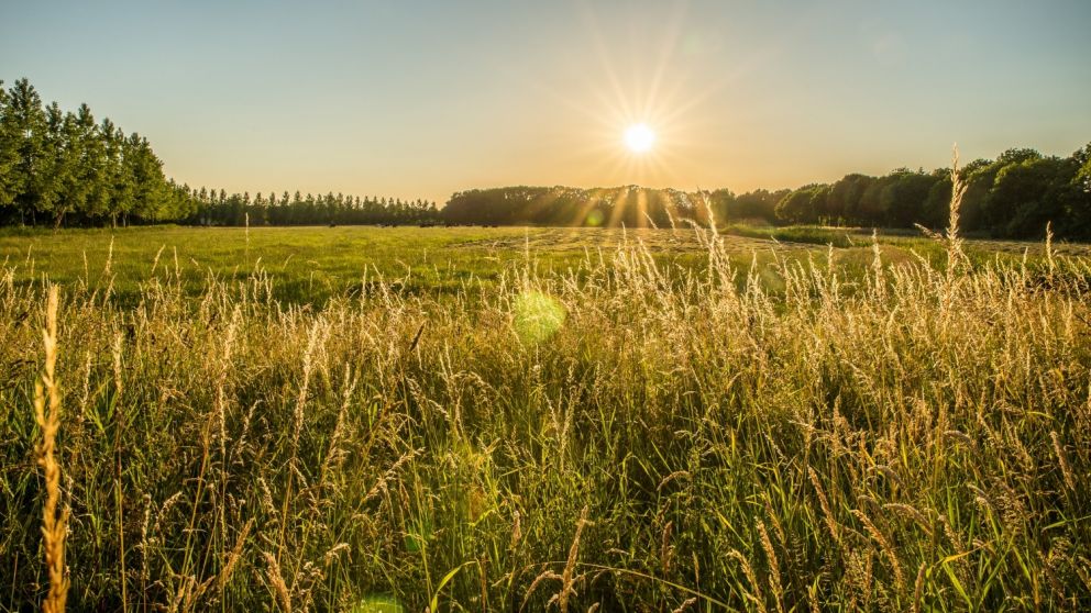 Festeja el sector agropecuario