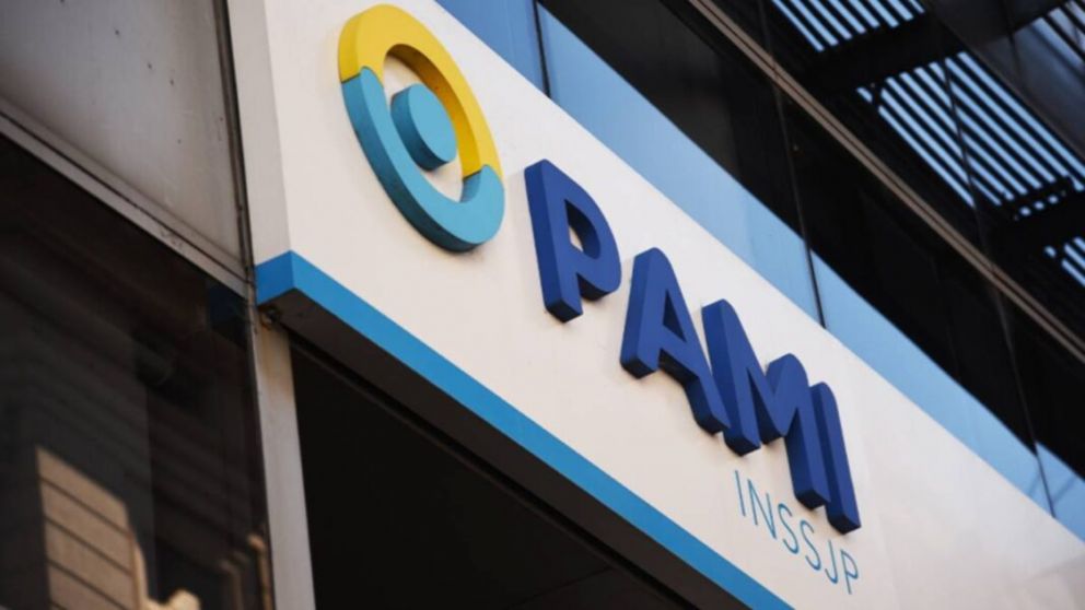 El Gobierno anunci� un nuevo sistema de entrega directa de pa�ales de PAMI.