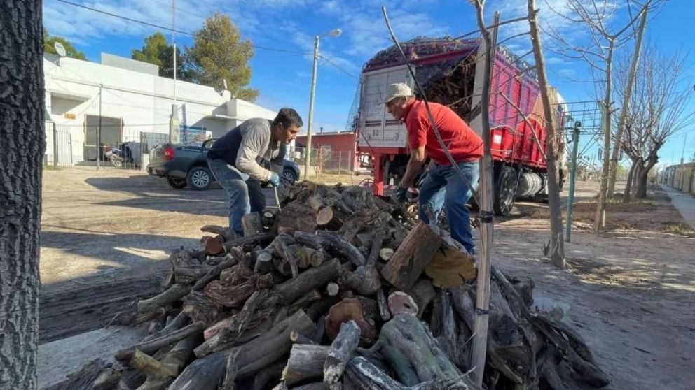 PAMI reparte leña entre los afiliados de diez provincias