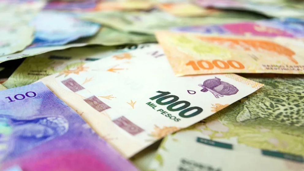Cómo cobrar el pago único de la Anses
