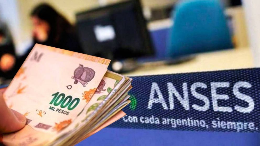AUH de Anses