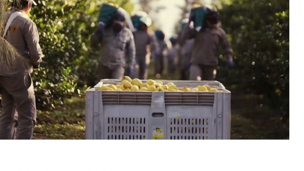 Reforma laboral, un eje que desvela al Gobierno