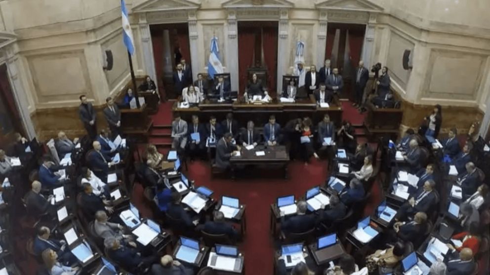 La decisión del senado sobre el bono para jubilados