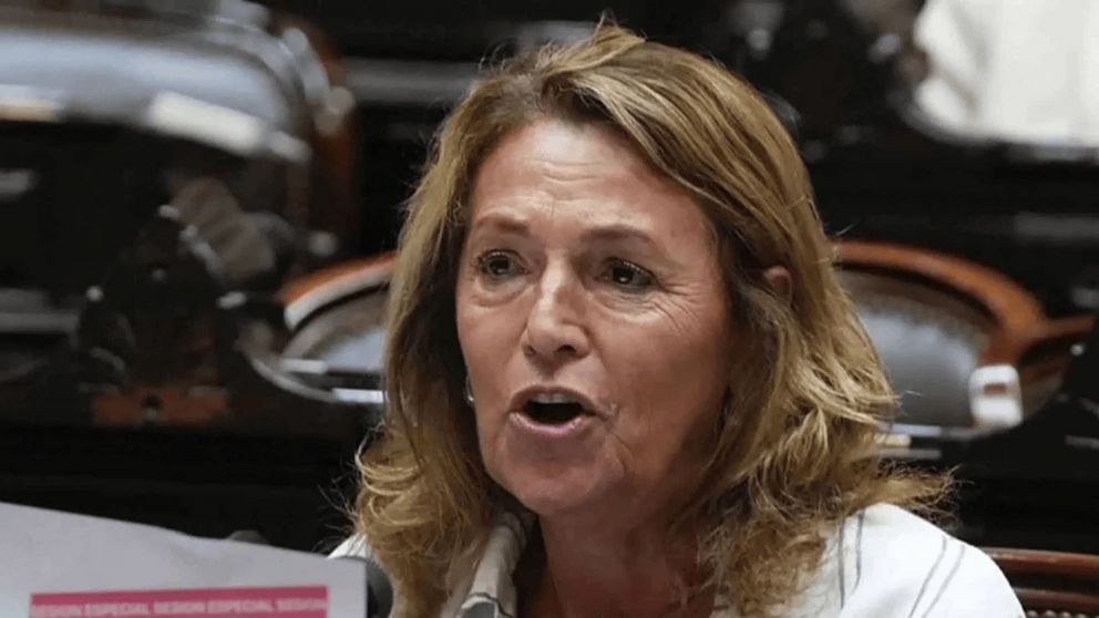 "Es una vergüenza que quieran usar la estatización de YPF como bandera política, cuando nos dejaron una condena multimillonaria", criticó Campagnoli