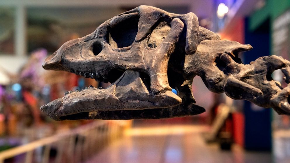 Del estreno de Jurassic