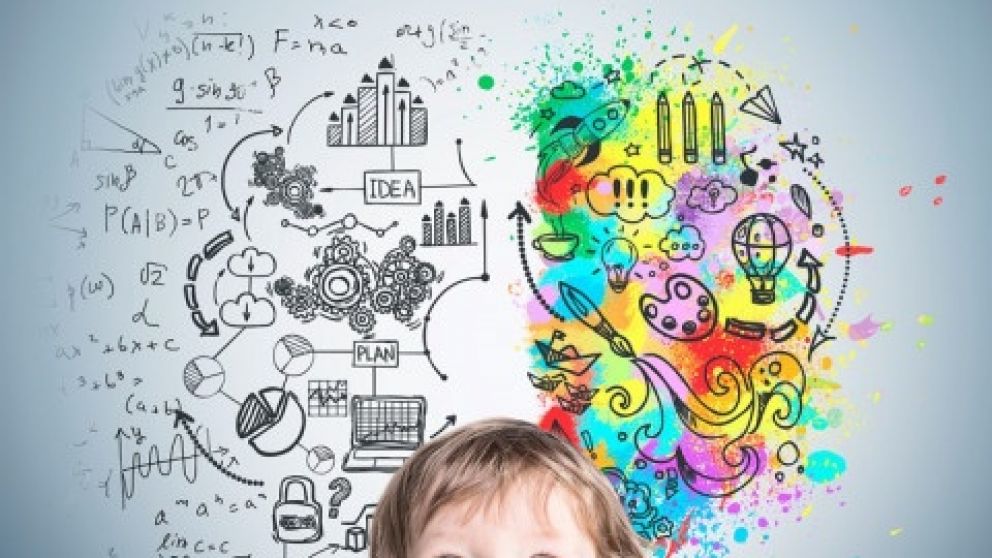 El desarrollo cognitivo es el resultado de la interacción entre nutrición adecuada, estimulación educativa y un entorno social que favorezca el aprendizaje
