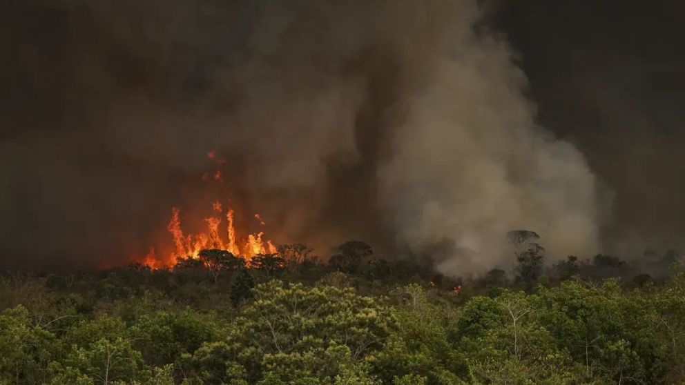 La Amazonía fue el bioma más afectado en 2024, cuando se quemaron 15,6 millones de hectáreas