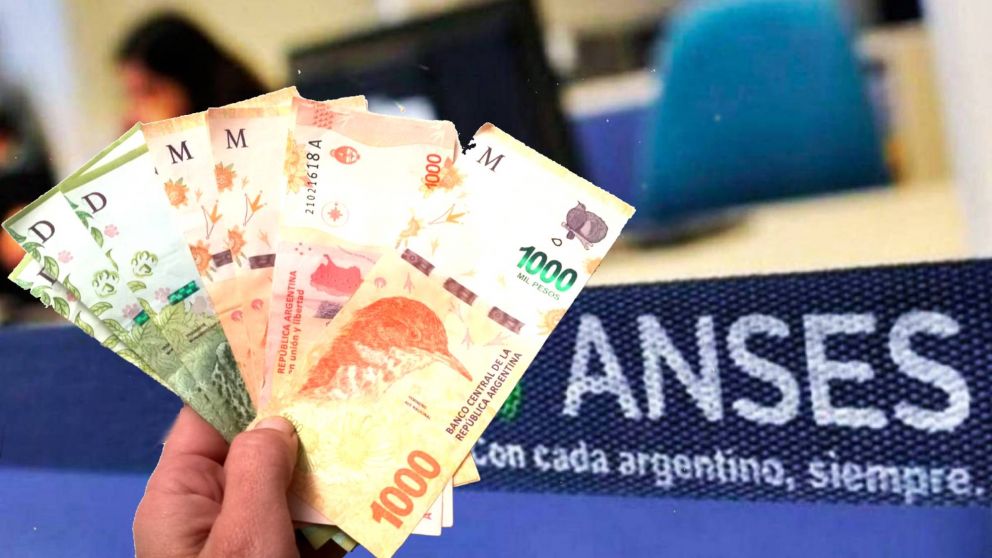 Mi Anses: �cu�ndo cobro?