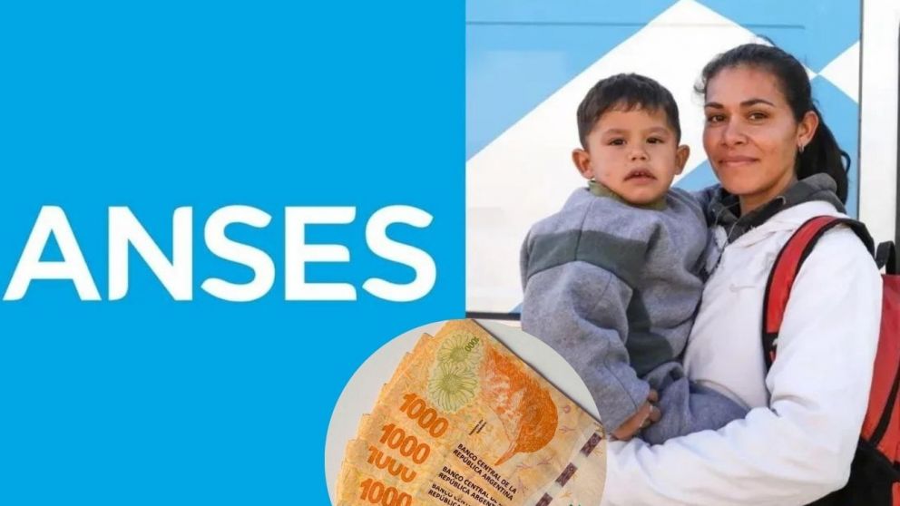 Cómo solicitar el pago único de la Anses