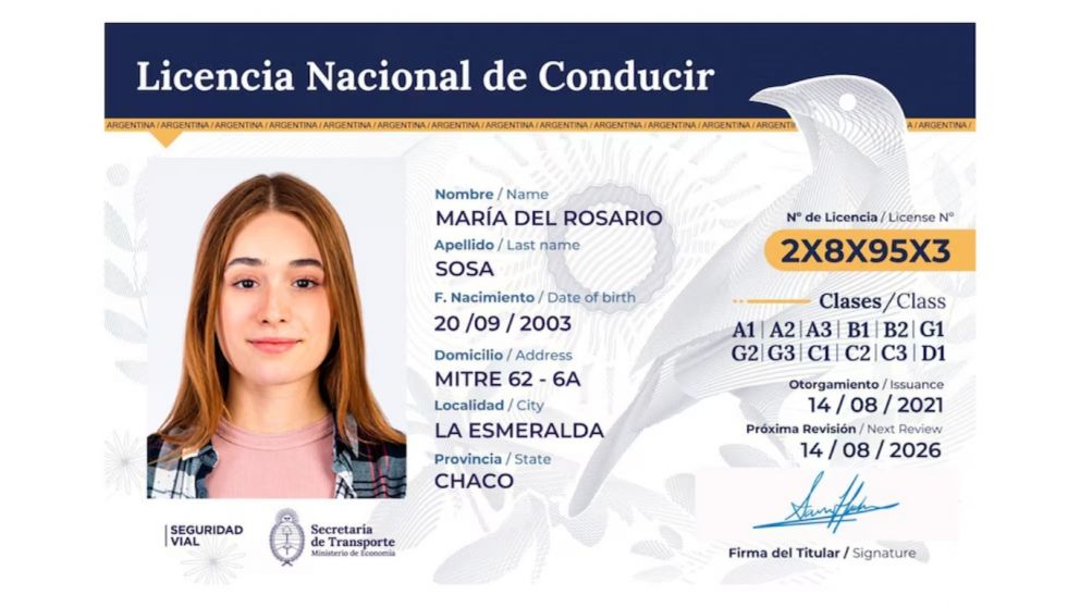 Nueva Licencia de Conducir (Argentina)