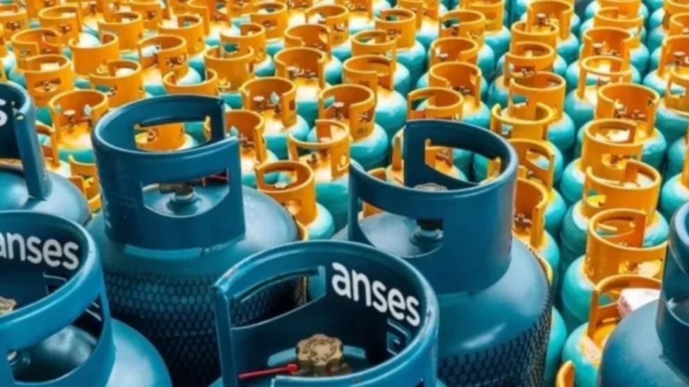 Quiénes recibirán el Programa Hogar en 2025