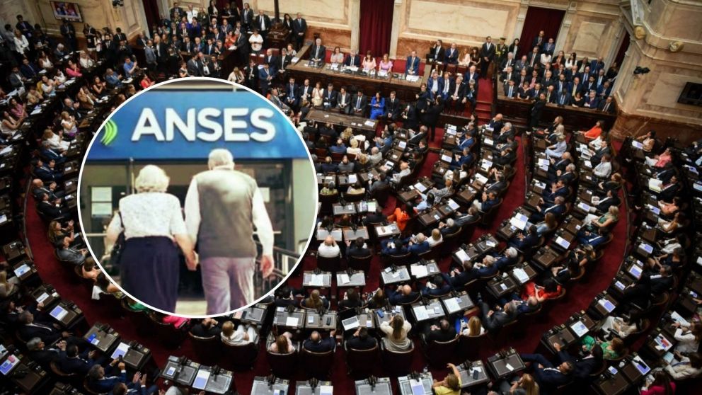 Diputados debaten un proyecto para aumentar el bono para jubilados