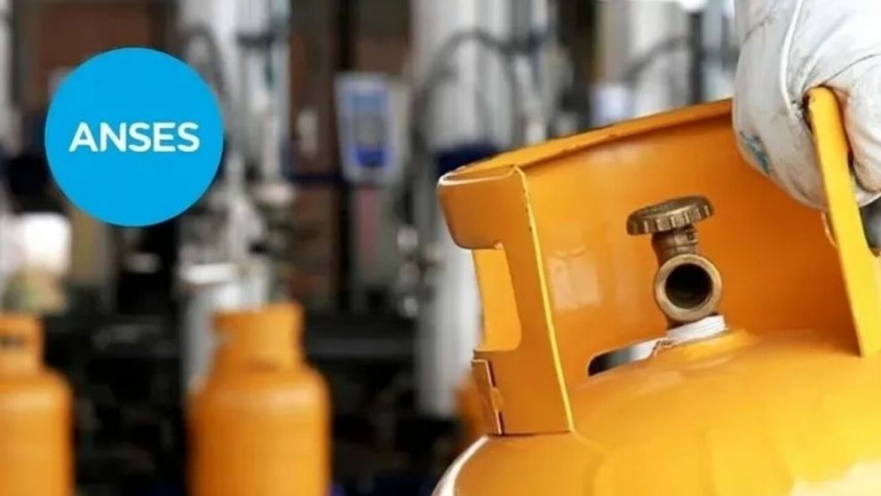 Programa Hogar 2025: quiénes lo cobran en Anses