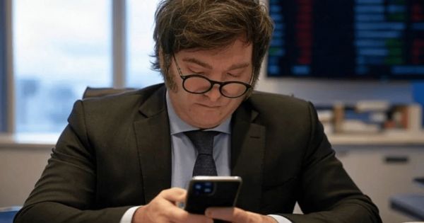 Milei: su estilo en redes sociales afecta gestión y aprobación