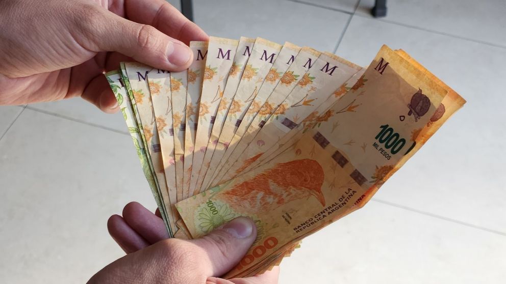 El Gobierno fijó una suba en el Salario Mínimo (Imagen ilustrativa).