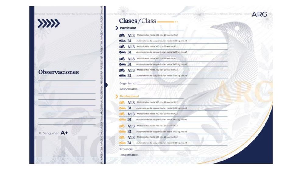 Licencia de conducir (Argentina)