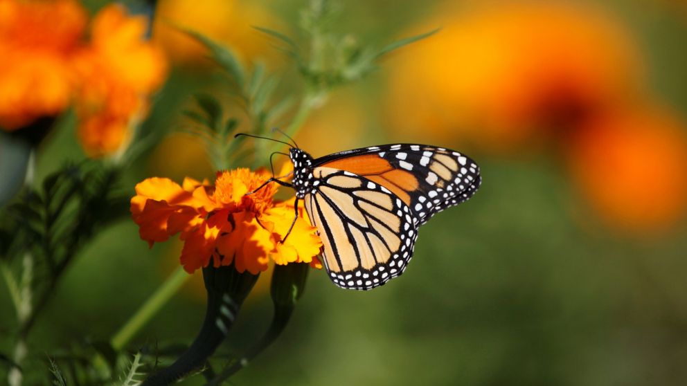 Tenacidad es ese corazón que, aún siendo consciente de que está agotado, se niega a perder la ilusión y el amor propio.