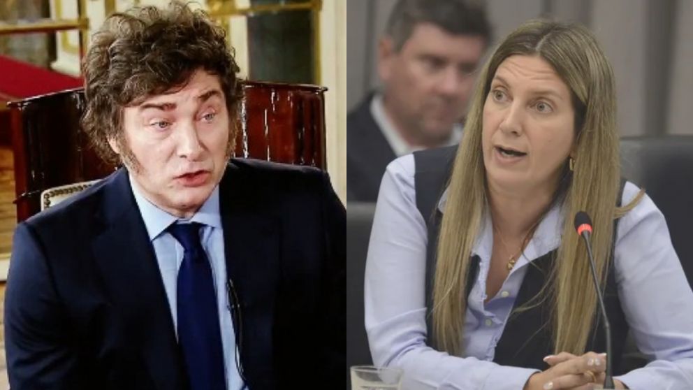 Javier Milei salió a contestar sobre Ficha Limpia.