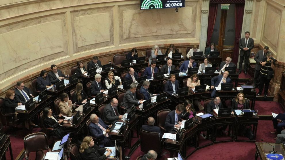 La caída de Ficha Limpia causó tensiones