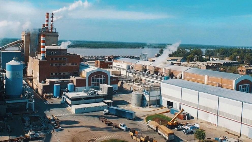 Tapebicuá cerró el aserradero San Charbel, en Corrientes, y despidió a más de 70 trabajadores