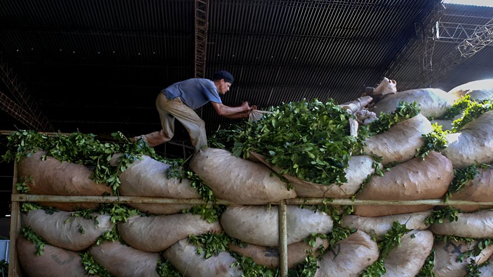 Organizaciones yerbateras reclaman un precio mínimo que contemple la estructura real de costos