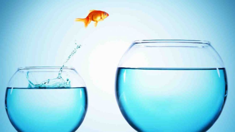 "Si crees que la aventura es peligrosa prueba la rutina, es mortal"