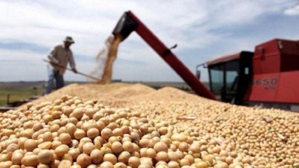 Baja de rentabilidad en el campo