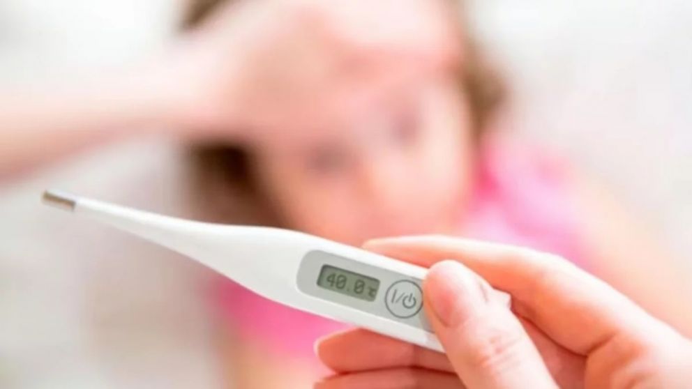 Fiebre tifoidea: cómo combatirla