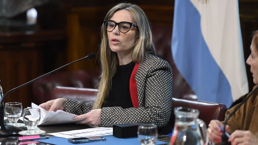 Di Tullio afirmó que el proyecto de Ficha limpia se llama "Ley de Proscripción a Cristina Kirchner"