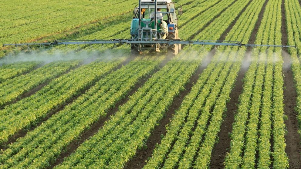 Los pesticidas, apuntados por el informe