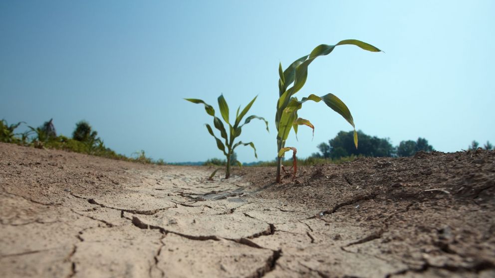 Declaran emergencia agropecuaria en Santa Fe y Chaco