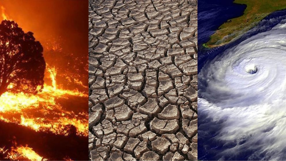 Los eventos climático extremos y simultáneos podrían afectar decisivamente la economía mundial
