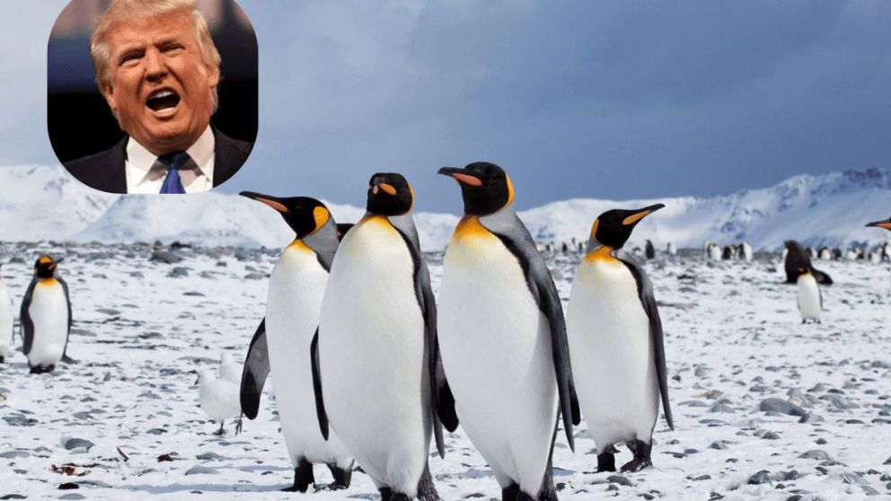 La tabla de aranceles de Donald Trump llegó a islas deshabitadas