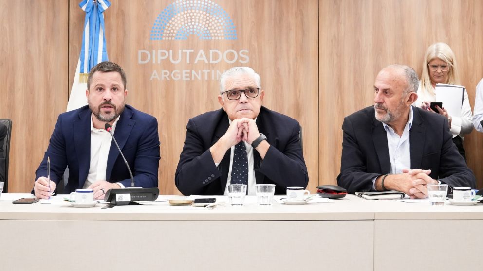La comisión de Legislación del Trabajo volvió a la carga con la reforma sindical