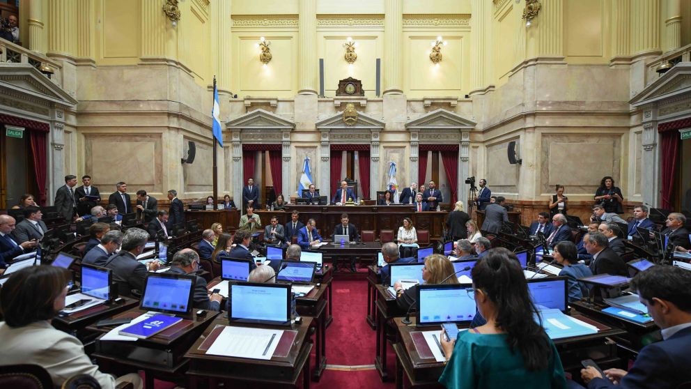 El Senado realiza la sesión en la que tratará la suspensión de las PASO (Foto NA).