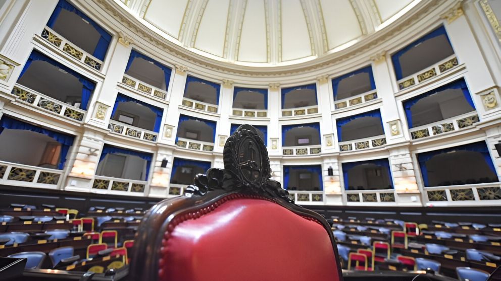 El debate por las PASO podría retomarse en la sesión ordinaria prevista para el 27 de marzo