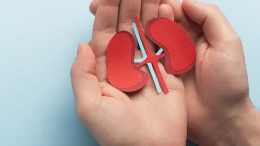 En Argentina, cerca de 5 millones de personas padecen la Enfermedad Renal Crónica, pero solo 1 de cada 10 lo sabe.