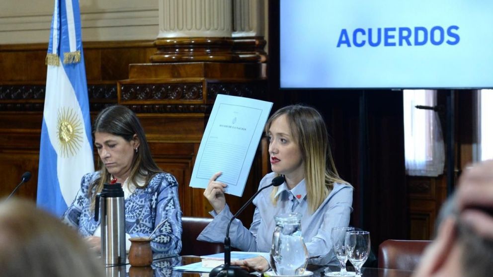 El Senado avanza sobre el pedido