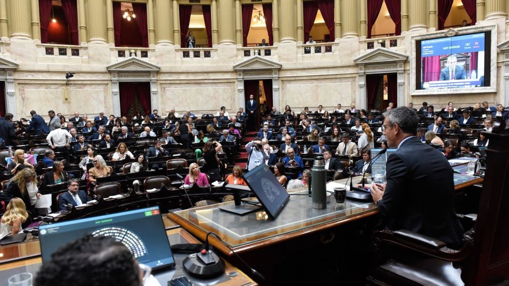 Diputados de UxP votaron a favor de la suspensión de las PASO