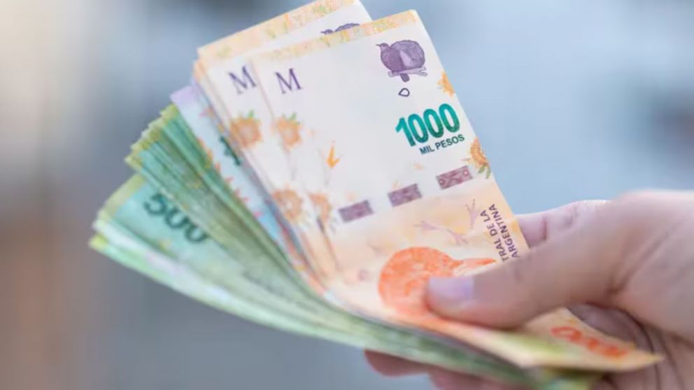 El ministerio de Capital Humano confirmó un bono de $81.000 para estudiantes