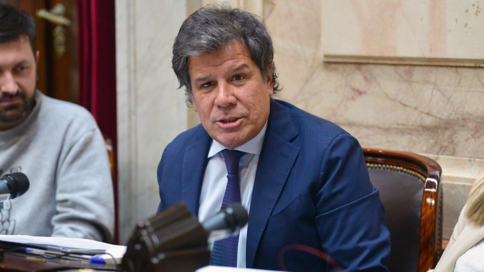 "Alguien me pegó dos piñas": Facundo Manes denunció que fue agredido en el Congreso