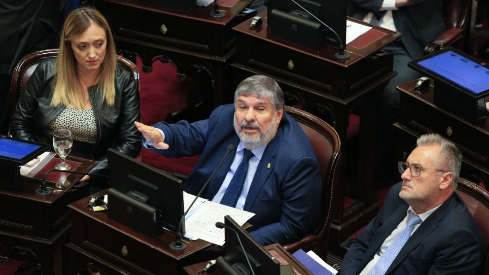 Comunicado del bloque de senadores de Unión por la Patria contra Javier Milei