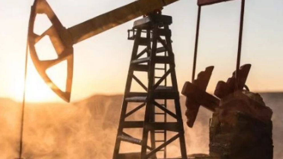 Mientras el barril de Brent promedió los USD 80 en 2024, en la Argentina fue de poco más de USD 70. Neuquén gracias a Vaca Muerta acaparó la producción de gas (74%) y el 56% de petróleo. Santa Cruz mostró el mejor precio del barril con USD 74,5 en promed