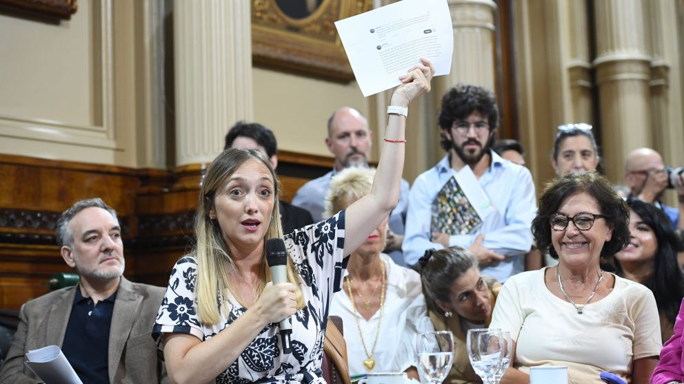 UxP fue con un proyecto propio: "Ficha Limpia completa"